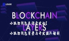 小狐狸钱包是谁开发的？小狐狸钱包背景与开发