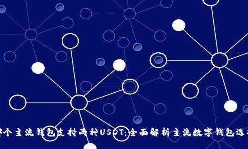哪个主流钱包支持两种USDT：全面解析主流数字钱包选择