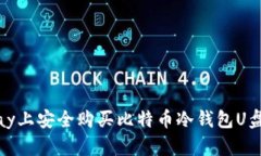 如何在eBay上安全购买比特币冷钱包U盘：全面指南