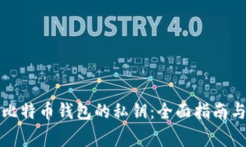 如何查看比特币钱包的私钥：全面指南与注意事项