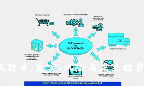  小狐狸币：真实、风险与未来投资指南