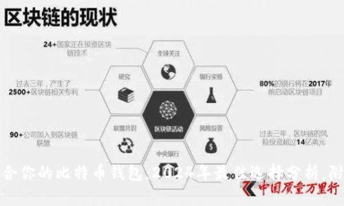 如何选择一款适合你的比特币钱包：2024年最佳选择分析，附带文化背景解读