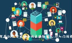 如何在iOS上开发安全的区块链钱包：从入门到精