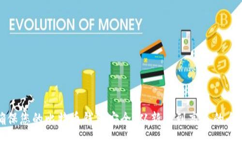 如何确保您的比特币钱包安全：从新手到高手的全面指南