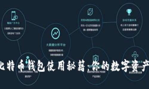 轻松掌握比特币钱包使用秘籍：你的数字资产安全之道！