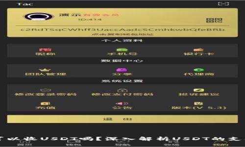 以太坊钱包可以收USDT吗？深入解析USDT的支持与使用场景