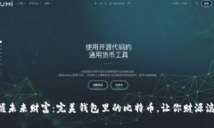 “掌握未来财富：完美钱包里的比特币，让你财