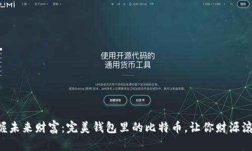 “掌握未来财富：完美钱包里的比特币，让你财源滚滚！”