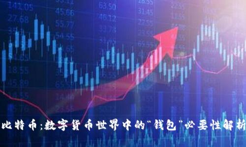 比特币：数字货币世界中的“钱包”必要性解析