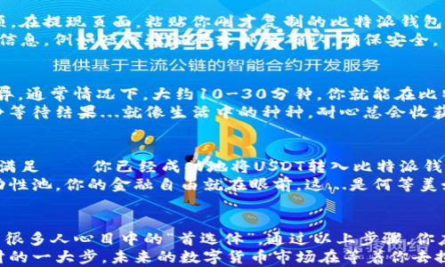
USDT转入比特派钱包的详细指南：安全与便捷的数字资产管理

关键词
USDT, 比特派钱包, 转账, 数字货币/guanjianci

引言：数字资产管理的新时代
在数字货币的世界里，USDT凭借其稳定的特性，成为了许多投资者和交易者的首选。而比特派钱包（Bitpie Wallet）则是一款备受追捧的数字资产管理工具，因为它不仅支持多种数字货币，还具备安全、便捷的特点。那么，如何将USDT安全、顺利地转入比特派钱包呢？这...听起来是不是有些复杂？别担心，接下来的内容将为你揭开这个过程的神秘面纱。

步骤一：下载并设置比特派钱包
首先，要使用比特派钱包，你需要在手机应用商店中下载它。无论是Android还是iOS设备，应用商店里都能找到这款钱包。下载完成后，打开应用并创建一个新钱包，这一步至关重要...因为这涉及到你的资产安全。
在创建钱包的过程中，你会被要求备份助记词。这...是你钱包安全的关键，务必妥善保存，千万不要泄露给他人！如果你不小心丢失了助记词，未来有可能会无法恢复钱包中的所有资产...想想这种可能性，不禁让人打寒颤。

步骤二：获取比特派钱包的USDT收款地址
一旦钱包创建完成，你就可以选择添加USDT帐户。在比特派钱包中，这个过程极其简单。点击“添加币种”，选择USDT，系统将自动为你生成一个收款地址。这个地址...就是你相当于银行账号的地方，可以接收USDT了。
记得细心核对这个地址，因为在数字货币的世界里，发送到错误地址的资金基本上是无法找回的。这...可不是开玩笑的事情！你可以选择复制这个地址，或者使用二维码的方式获取。在这一刻，科技的便利性令我感慨，是吗？

步骤三：发起转账操作
好了，收款地址搞定，你接下来需要在你的交易所账户（如Binance、Huobi等）中发起转账操作。登录交易所，找到USDT的部分，选择“提现”或者“转账”选项。在提现页面，粘贴你刚才复制的比特派钱包的USDT地址，并输入要转账的数量。
至此，你可能会感到一阵小激动，这...是你数字资产管理的第一步。再三检查一遍信息无误后，确认提现！同时，请注意交易所可能会要求你输入二次验证信息，例如短信验证码或邮箱确认，确保安全。

步骤四：等待转账确认
转账一旦发起，你接下来只需耐心等待。这...或许是最漫长的几分钟，但请相信区块链技术的强大！根据网络拥堵的情况，USDT的到账时间可能会有些差异。通常情况下，大约10-30分钟，你就能在比特派钱包中看到相应的USDT到账了。
如果你等待的时间超过了30分钟，不妨再去检查一下交易记录，确认在交易所的申请是否已经处理完毕。这...是一场与时间赛跑的游戏，有时你只需静静等待结果...就像生活中的种种，耐心总会收获到不错的惊喜！

步骤五：确认到账情况
当你的USDT成功到账后，别忘了在比特派钱包中确认一下，确保一切顺利。打开比特派钱包，查看USDT的余额，确认转账成功。这一刻，你应该会感到无比满足——你已经成功地将USDT转入比特派钱包！
此外，比特派钱包还提供了相关的资产管理工具，帮助你更好地管理数字资产。想象一下，未来你可以方便快捷地进行交易、存储，甚至参与DeFi项目、流动性池，你的金融自由就在眼前。这...是何等美好的愿景呀！

总结：安全与便捷并存的数字钱包体验
无论是数字资产的管理，还是数字货币的交易，选择一个好的钱包是任何投资者不可或缺的一步。比特派钱包凭借其用户友好的设计和多种功能，成为了很多人心目中的“首选体”。通过以上步骤，你应该能够轻松完成USDT的转入操作。不过，记得在使用过程中时刻保持对安全的警惕，数字货币的世界虽美好，却也充满风险。
将USDT安全转入比特派钱包，让您的数字资产管理更上一层楼。这...不仅仅是一笔简单的转账，而是你迈入数字化资产世界的一小步，然而却是投资理财的一大步。未来的数字货币市场在等着你去探索，而比特派钱包将会是你这个旅途中的得力助手。