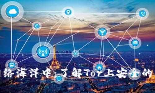 在黑暗的网络海洋中：了解Tor上安全的比特币钱包