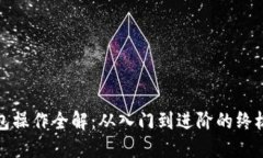 小狐狸钱包操作全解：从入门到进阶的终极视频