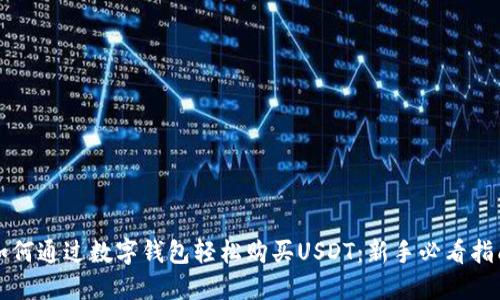 如何通过数字钱包轻松购买USDT：新手必看指南