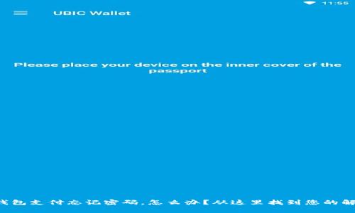 比特币钱包支付忘记密码，怎么办？从这里找到您的解决方案！