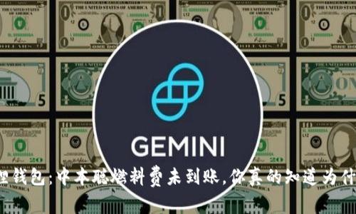 小狐狸钱包：中本聪燃料费未到账，你真的知道为什么吗？