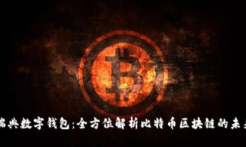 瑞典数字钱包：全方位解析比特币区块链的未来