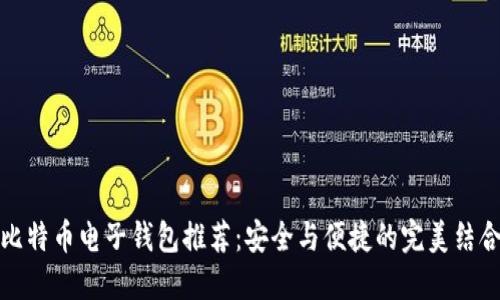 比特币电子钱包推荐：安全与便捷的完美结合