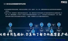 比特币钱包揭秘：你真的了解你的数字资产吗？