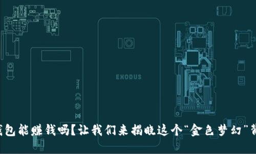 比特币放钱包能赚钱吗？让我们来揭晓这个“金色梦幻”背后的秘密！