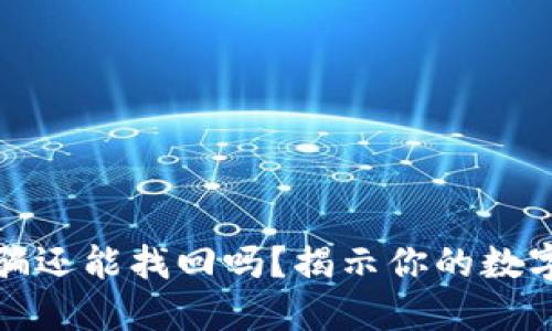 小狐狸钱包被骗还能找回吗？揭示你的数字资产安全秘密