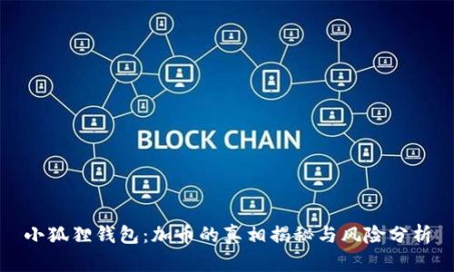 小狐狸钱包：加币的真相揭秘与风险分析