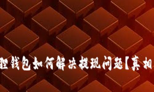 小狐狸钱包如何解决提现问题？真相揭秘！