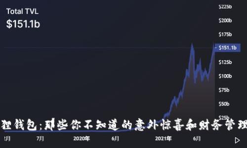 小狐狸钱包：那些你不知道的意外惊喜和财务管理技巧