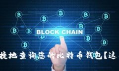 如何在中国安全快捷地查询您的比特币钱包？这