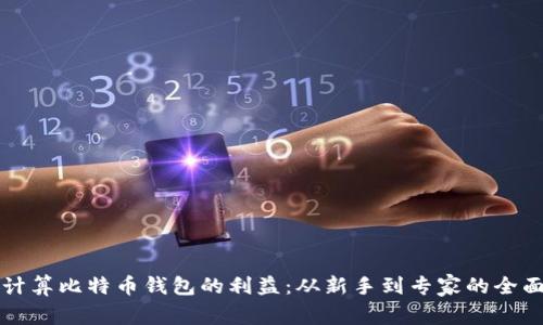如何计算比特币钱包的利益：从新手到专家的全面指南