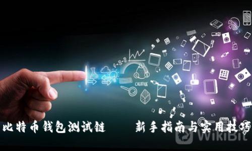 比特币钱包测试链——新手指南与实用技巧