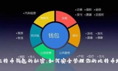 : 比特币钱包的秘密：如何安全管理你的比特币地