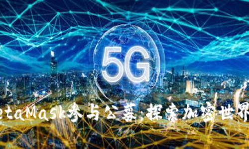 如何通过MetaMask参与公募：探索加密世界的精彩瞬间