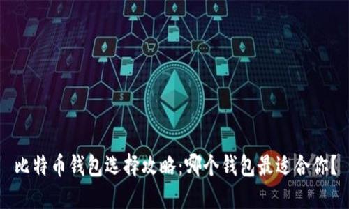 比特币钱包选择攻略：哪个钱包最适合你？