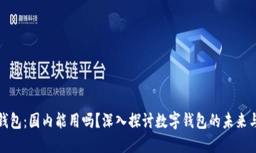 小狐狸钱包：国内能用吗？深入探讨数字钱包的未来与安全性