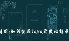 全面解析：如何使用Java开发比特币钱包？