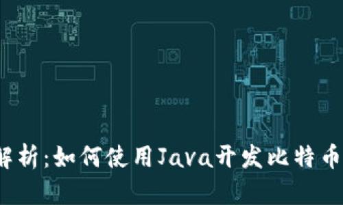 全面解析：如何使用Java开发比特币钱包？