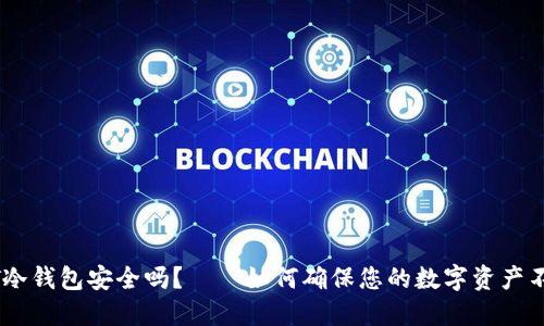 USDT冷钱包安全吗？——如何确保您的数字资产不被盗