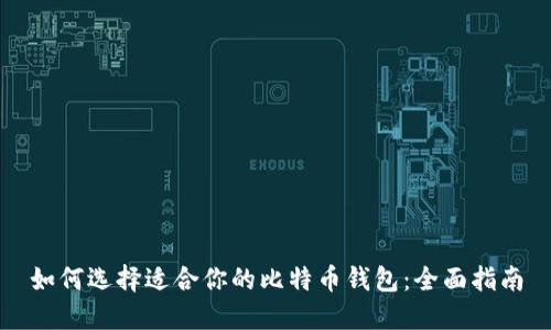 如何选择适合你的比特币钱包：全面指南