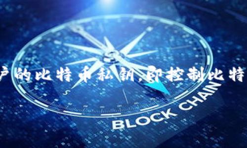 比特币钱包是用来存储和管理比特币的工具或软件，它允许用户接收、发送和管理比特币。比特币钱包的工作原理是通过使用加密技术保持用户的比特币私钥，即控制比特币的唯一标识码。钱包的类型多种多样，包括软件钱包、硬件钱包、在线钱包和纸钱包等。不同类型的钱包在安全性、便利性和功能性上各有优劣。

如果您对此有更深入的兴趣或问题，请告诉我，我可以为您提供更详细的信息。