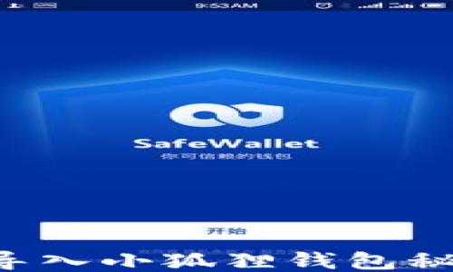 
如何安全地导入小狐狸钱包秘钥：详细指南