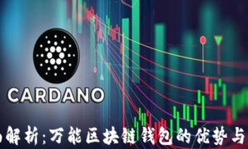 
全面解析：万能区块链钱包的优势与应用