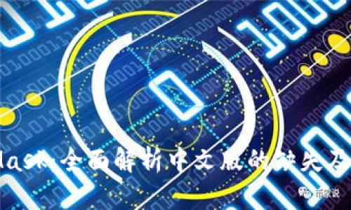 MetaMask：全面解析中文版的缺失及其影响