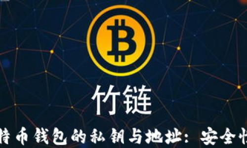 
深入了解比特币钱包的私钥与地址: 安全性与管理策略