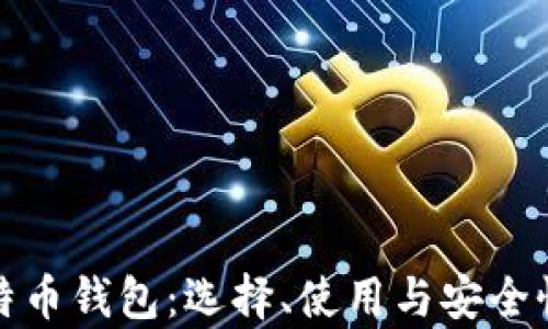 
全面解析比特币钱包：选择、使用与安全性的深度探讨