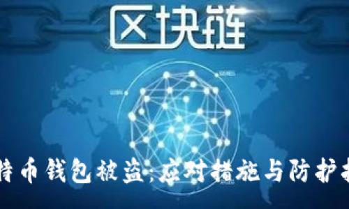 :
比特币钱包被盗：应对措施与防护指南
