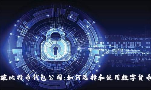 新加坡比特币钱包公司：如何选择和使用数字货币钱包