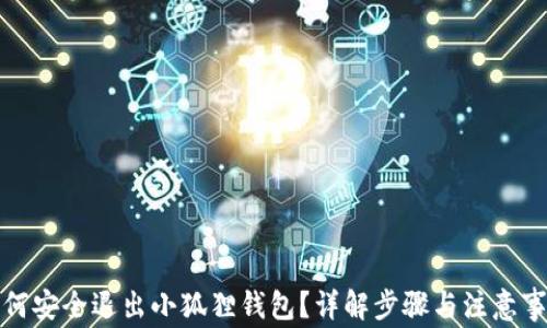 
如何安全退出小狐狸钱包？详解步骤与注意事项