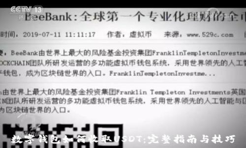 数字钱包如何收取USDT:完整指南与技巧