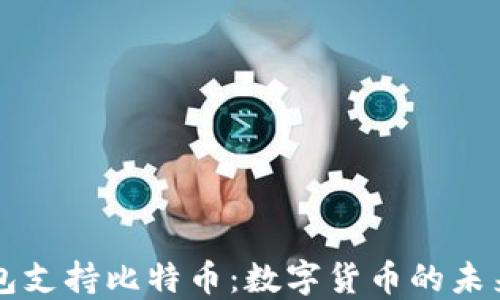 
苹果钱包支持比特币：数字货币的未来与现实